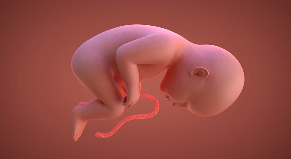 Неміс порно жұлдыздары