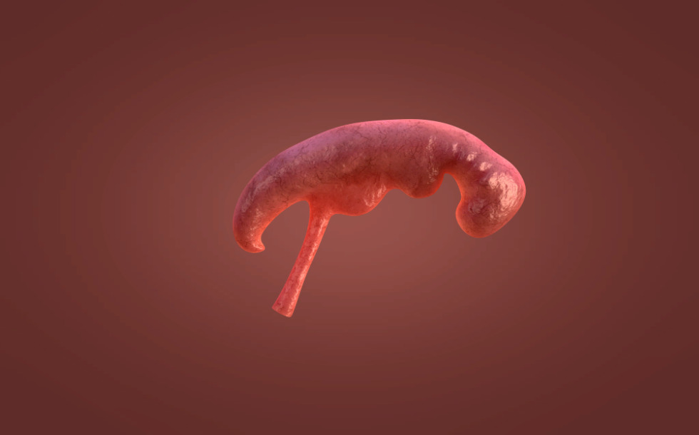 Жыныстық GIF туралы анимациялар Жыныстық GIF туралы анимациялар