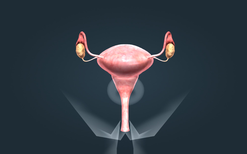 Аладдин мультфильмінің порно нұсқасы