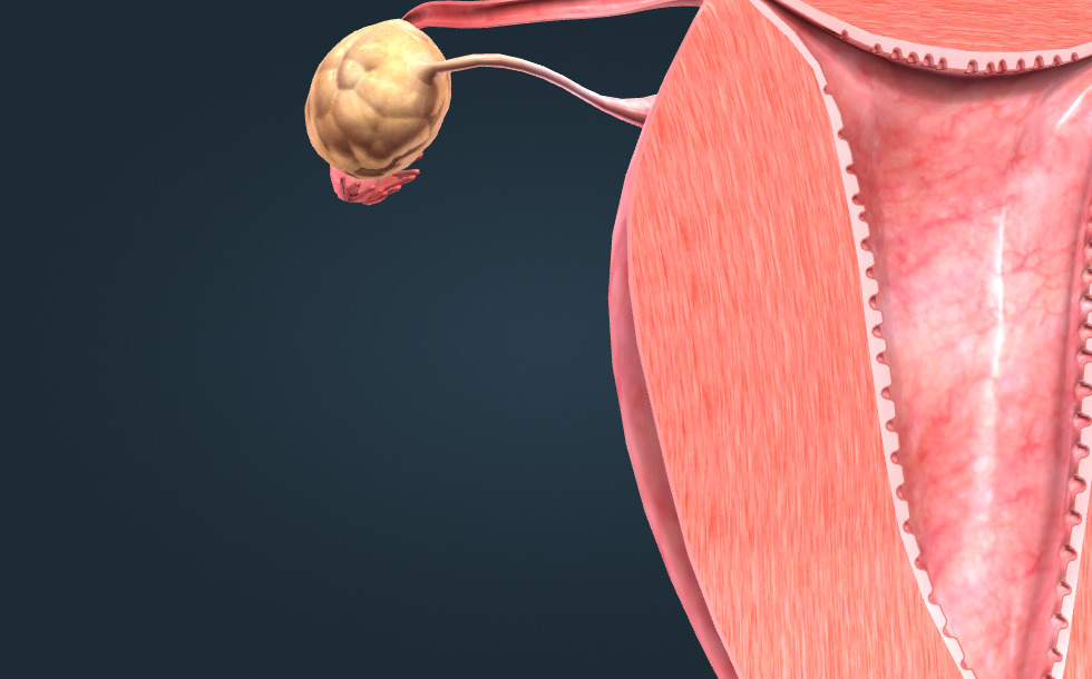 Мега жопа порно Әйел оргазмының дыбыстық дыбыстары