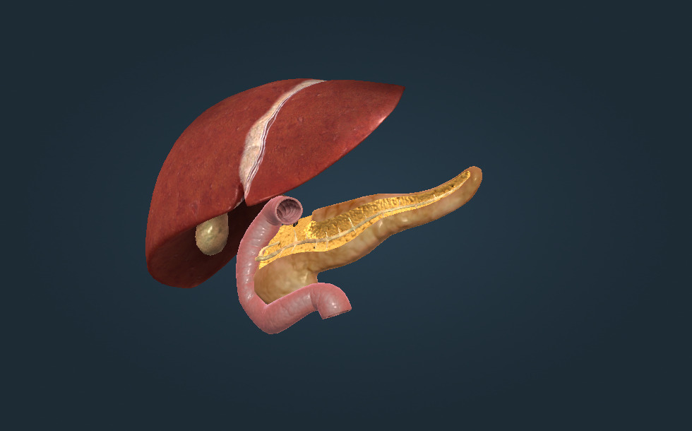 Рязаньдағы жезөкшелердің суреттері