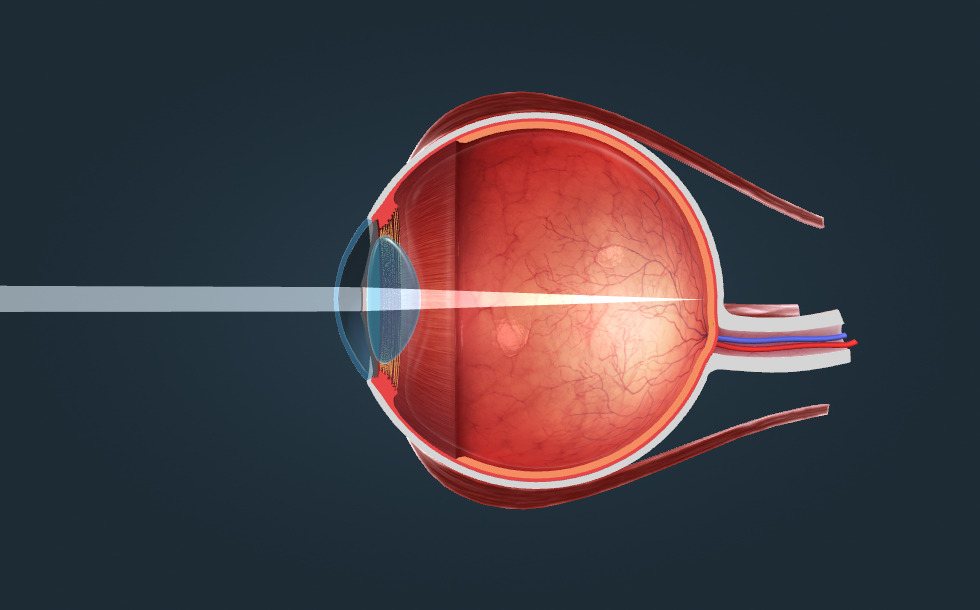 Жас порно қыздардың фотосуреттері