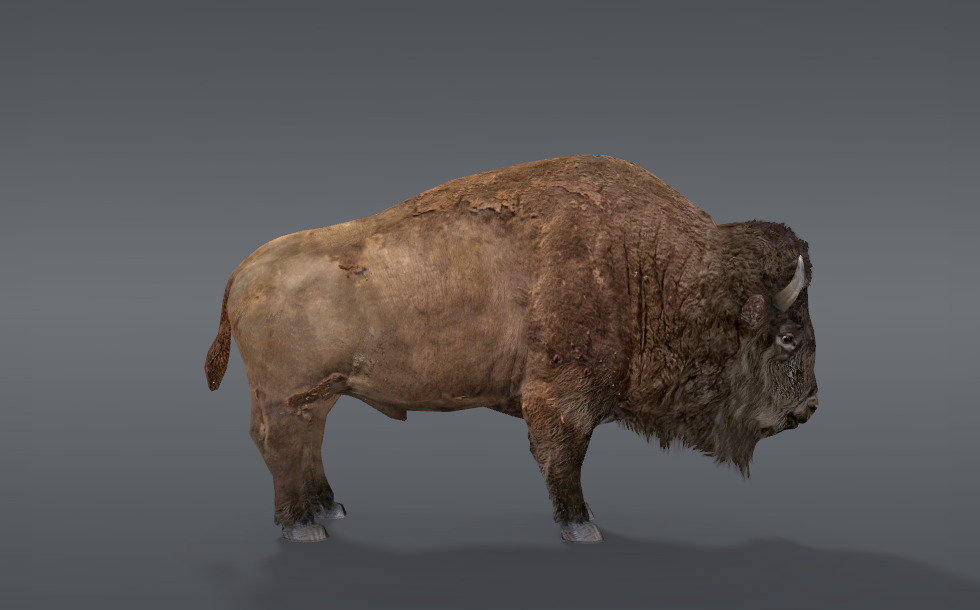 Кәсіптік оқу орындарынан алынған порно Жыныстық қатынас