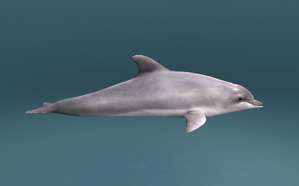 Сексуалдық wap бейне порталы Порно досын партаның астына мастурбациялайды