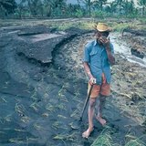 Земли, пострадавшие от муссона