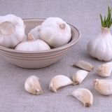 Ajo