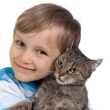 Ласкающаяся кошка