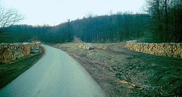 Штабелирование брёвен вдоль дороги