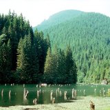 Lago vermelho, Romênia