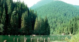 Лаку-Рошу (Озеро Красное или Убийца), Румыния