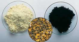 Серный порошок и железный порошок, а так же их смесь
