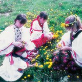 Игра девочек с одуванчиками