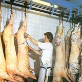 Обвалочная линия свинины