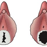 Толық пішінді жалаңаш әйелдердің бейнелерін көрсету