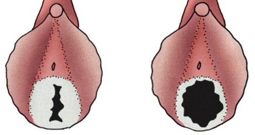 Дик порносына түкіру