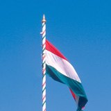 علم المجر