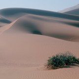 Песчаные дюны в пустыне Сахара