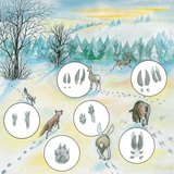 雪の中の動物の軌跡