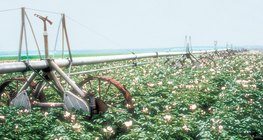 Самоходная фронтальная оросительная установка