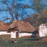 Дома с камышовой крышей
