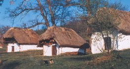 Дома с камышовой крышей