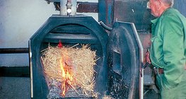 Сжигание камыша