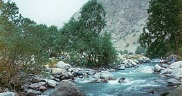 Горная речка на Памире