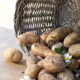 Potatoes
