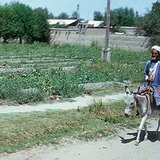 Полупустынная местность Туранской низменности