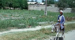 Полупустынная местность Туранской низменности