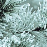 Hard rime
