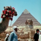 السياحة عند أهرامات الجيزة