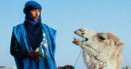 رجل الطوارق مع الإبل