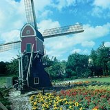 Paesaggio olandese con mulino a vento