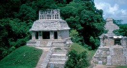 Тропический дождевой лес с памятниками культуры