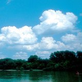 Кучевые облака
