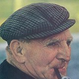 Североевропейская раса