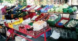 Выбор овощей и фруктов осенью