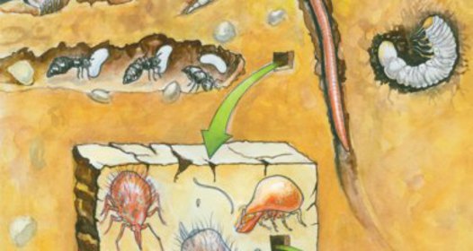 Өте салбырап тұрған жыныстық ерні порно видео