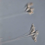 Колония одноклеточных организмов (Эпистилис)