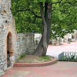 Szent Margit sírja