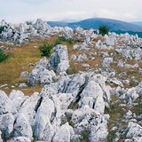 Krasová krajina se škrapy