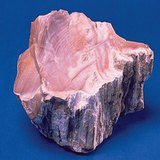 Gỗ opal