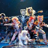 Эндрю Ллойд Уэббер: Кошки