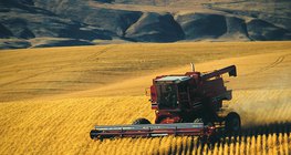 Уборка урожая зерновых культур