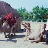 Верблюд – важное домашнее животное в Азии