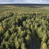 Тайга осенью
