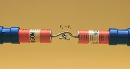 При растягивании динамометры показывают одинаковые силы воздействия