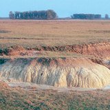 Пухлый солевой слой на солончаке в районе Хортобадь, Венгрия