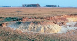 Пухлый солевой слой на солончаке в районе Хортобадь, Венгрия
